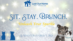 Sit Stay Brunch - Benefiting Lost Our Home