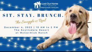 Sit Stay Brunch